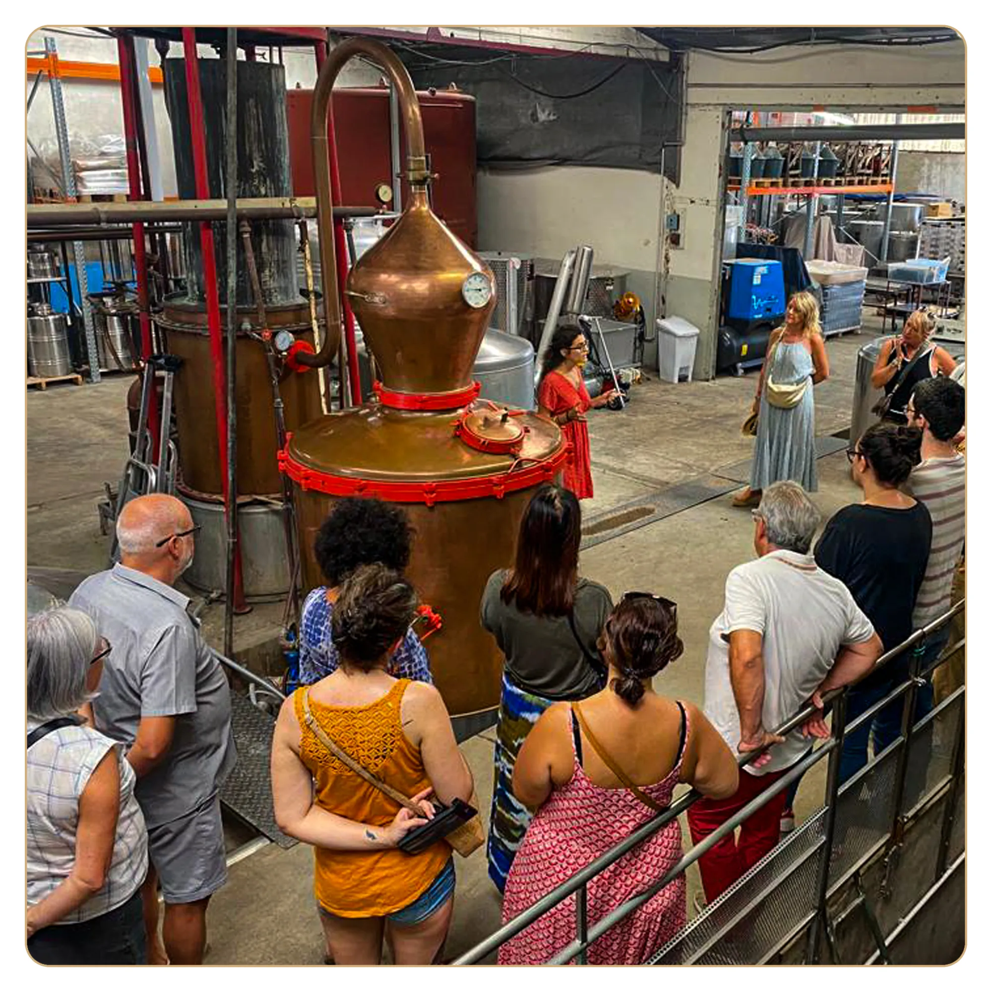 Venez visiter Distillerie Manguin